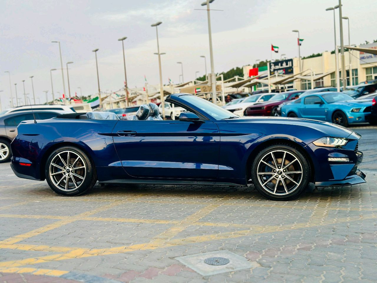 Ford Mustang - Image 5