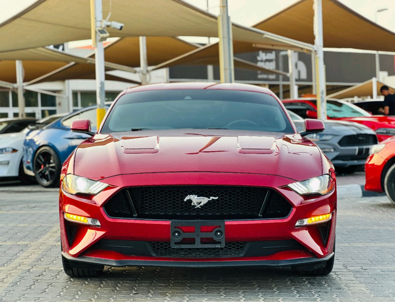 Ford Mustang - Image 3