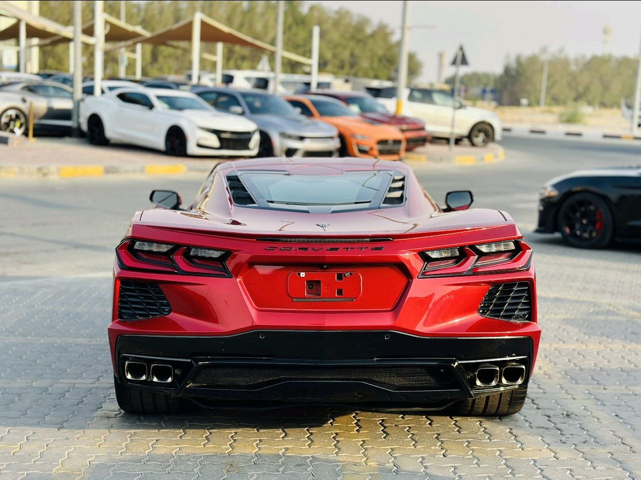 Chevrolet Corvette - Image 18
