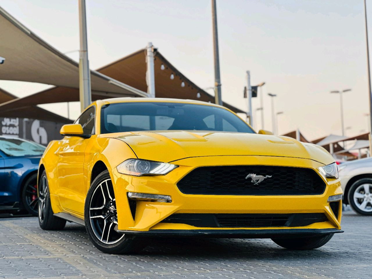 Ford Mustang - Image 13