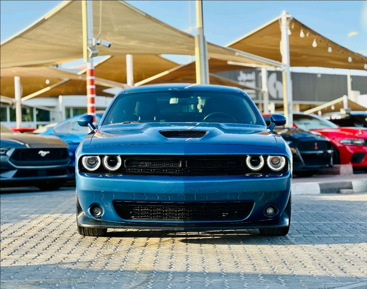 Dodge Challenger - Image 2