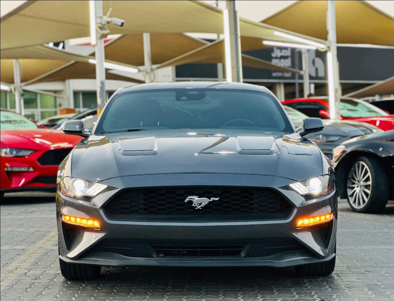 Ford Mustang - Image 3