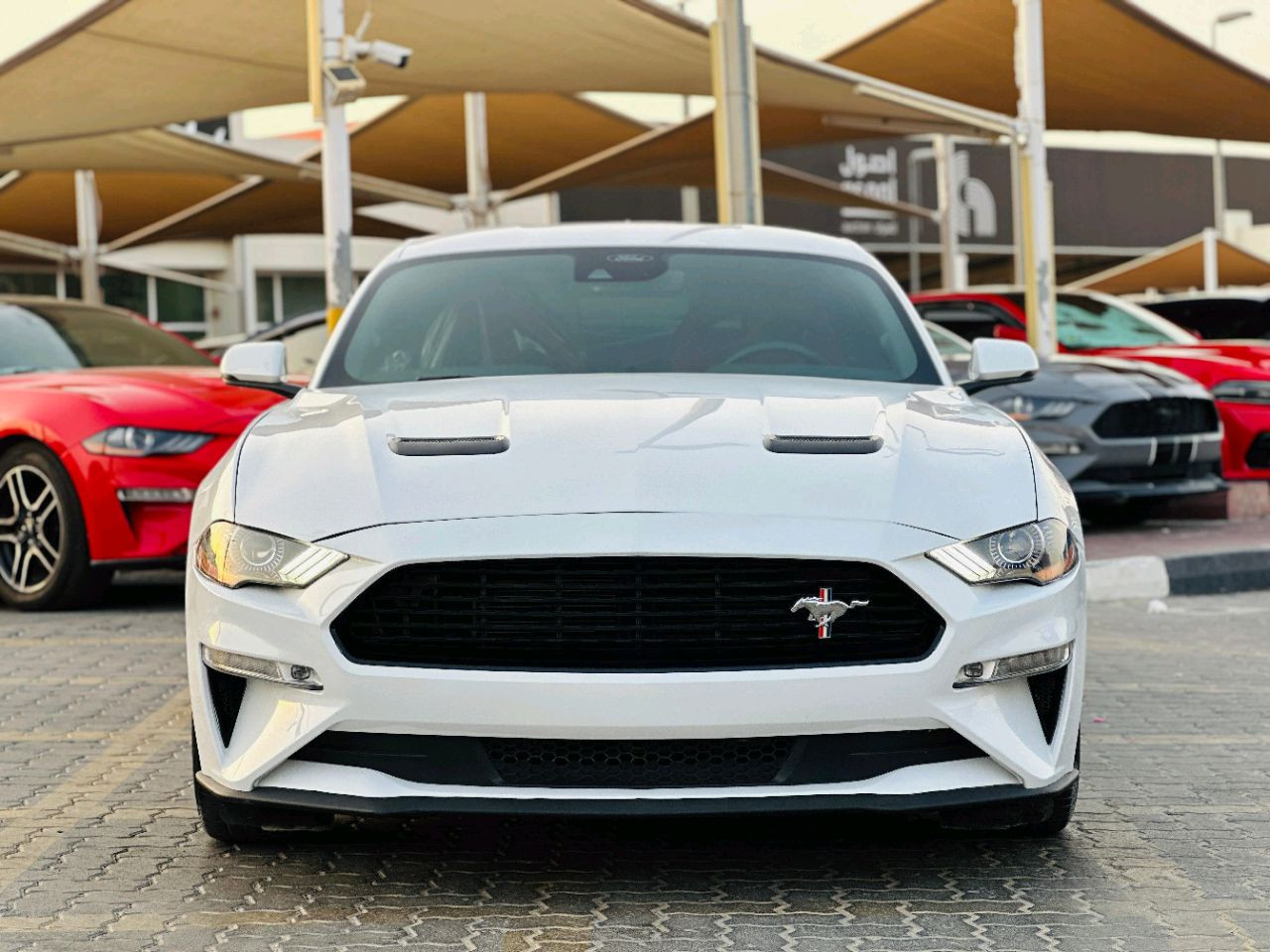 Ford Mustang - Image 3
