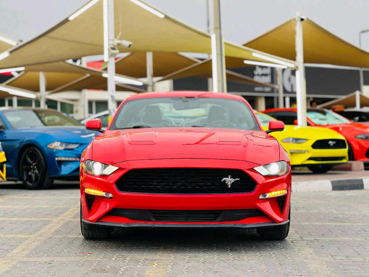 Ford Mustang - Image 3