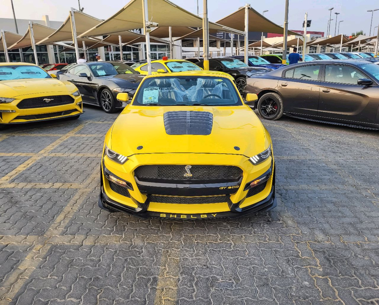 Ford Mustang - Image 4