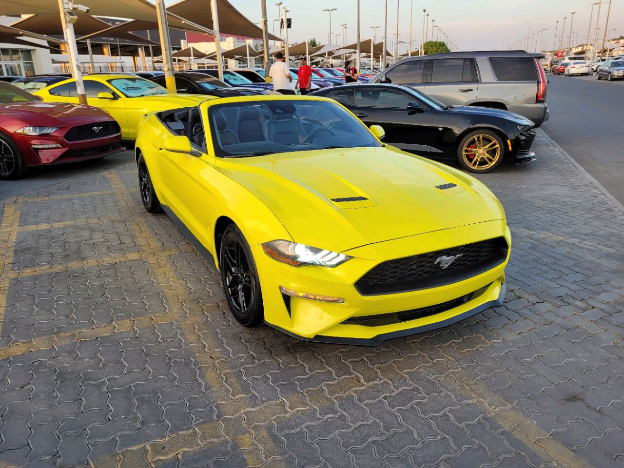Ford Mustang - Image 4