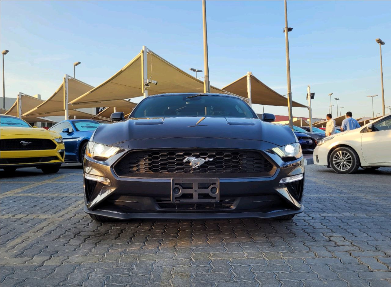 Ford Mustang - Image 2