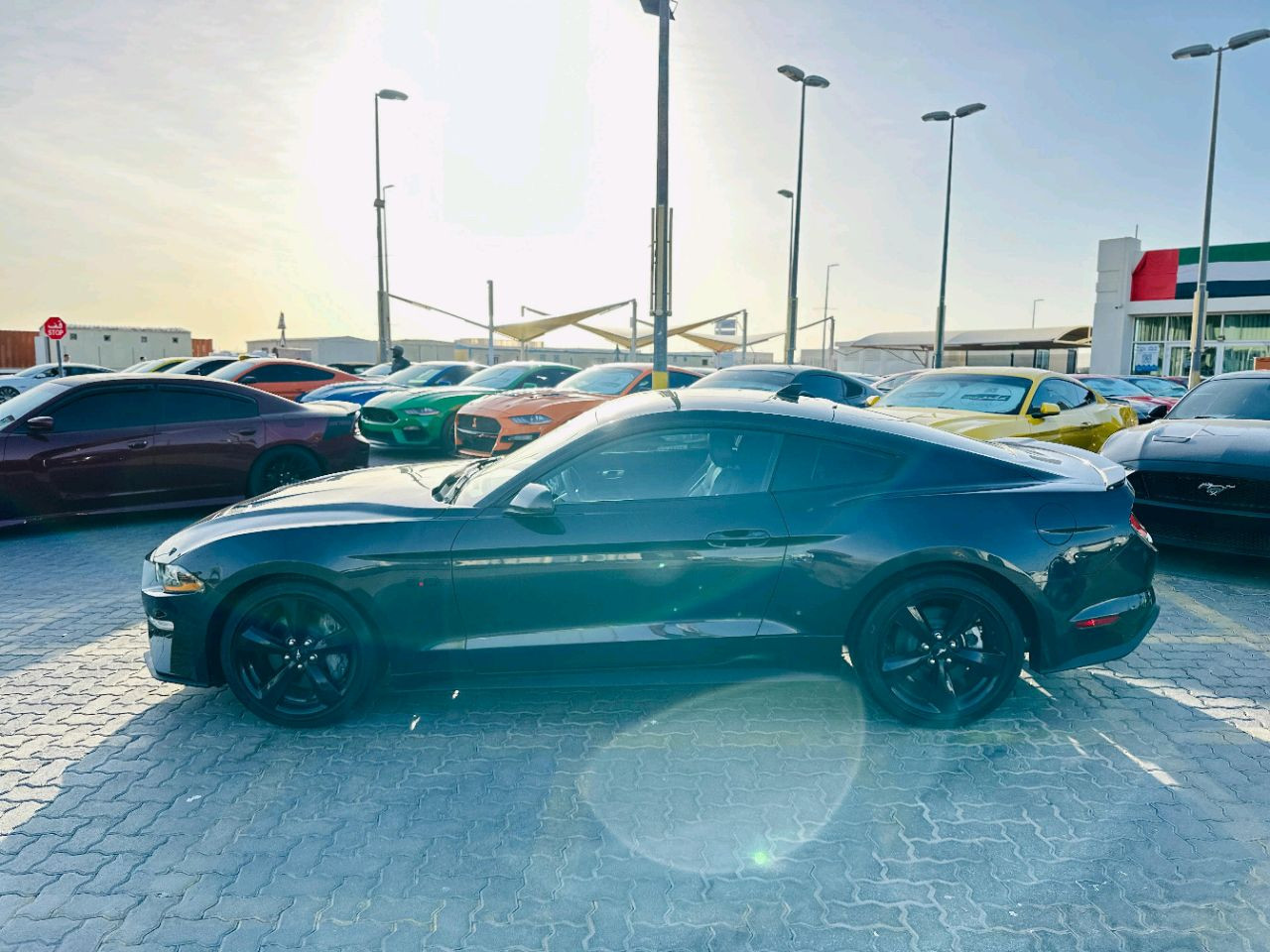 Ford Mustang - Image 5