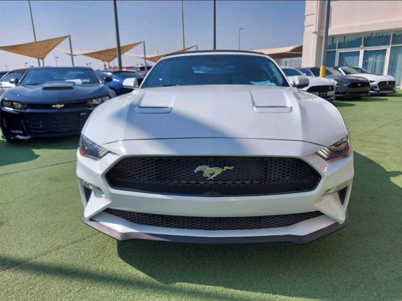 Ford Mustang - Image 4