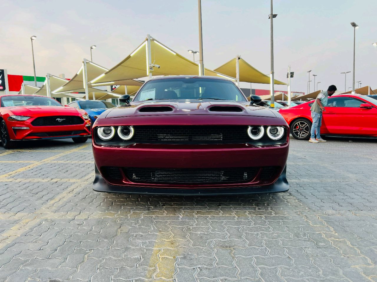 Dodge Challenger - Image 6