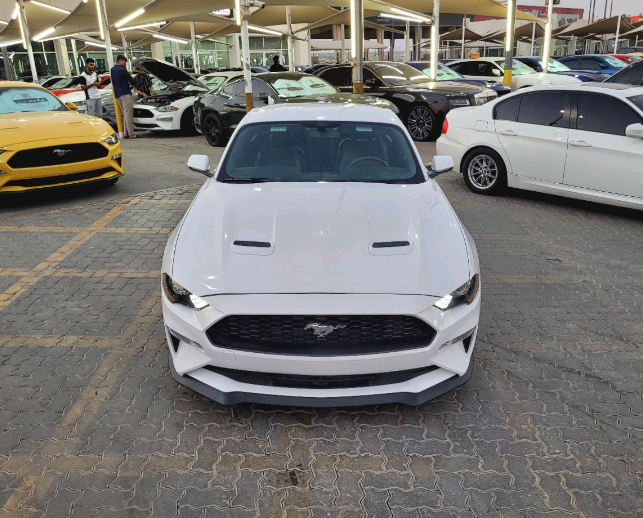 Ford Mustang - Image 4