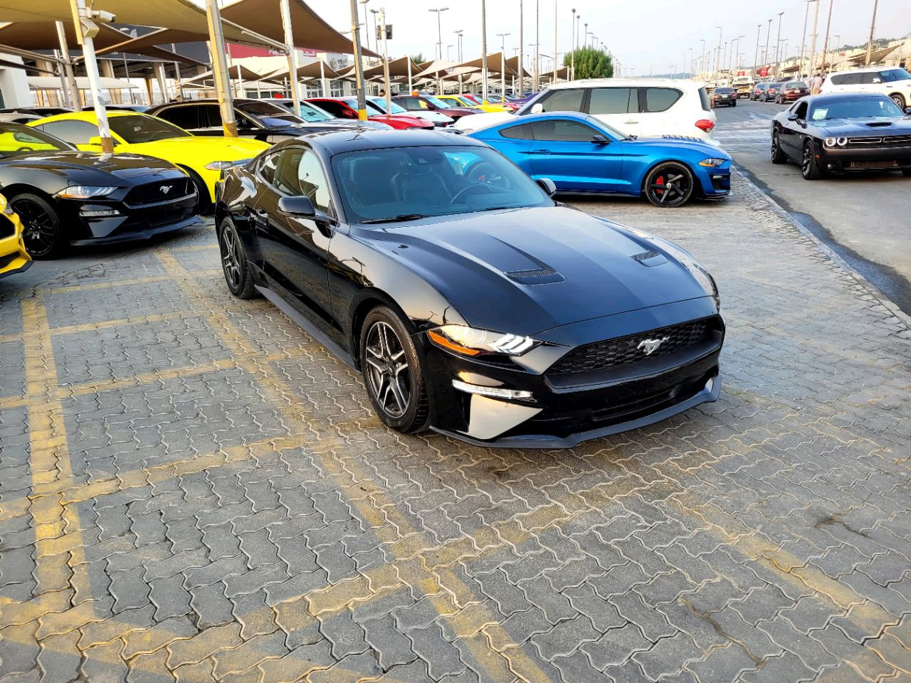 Ford Mustang - Image 4