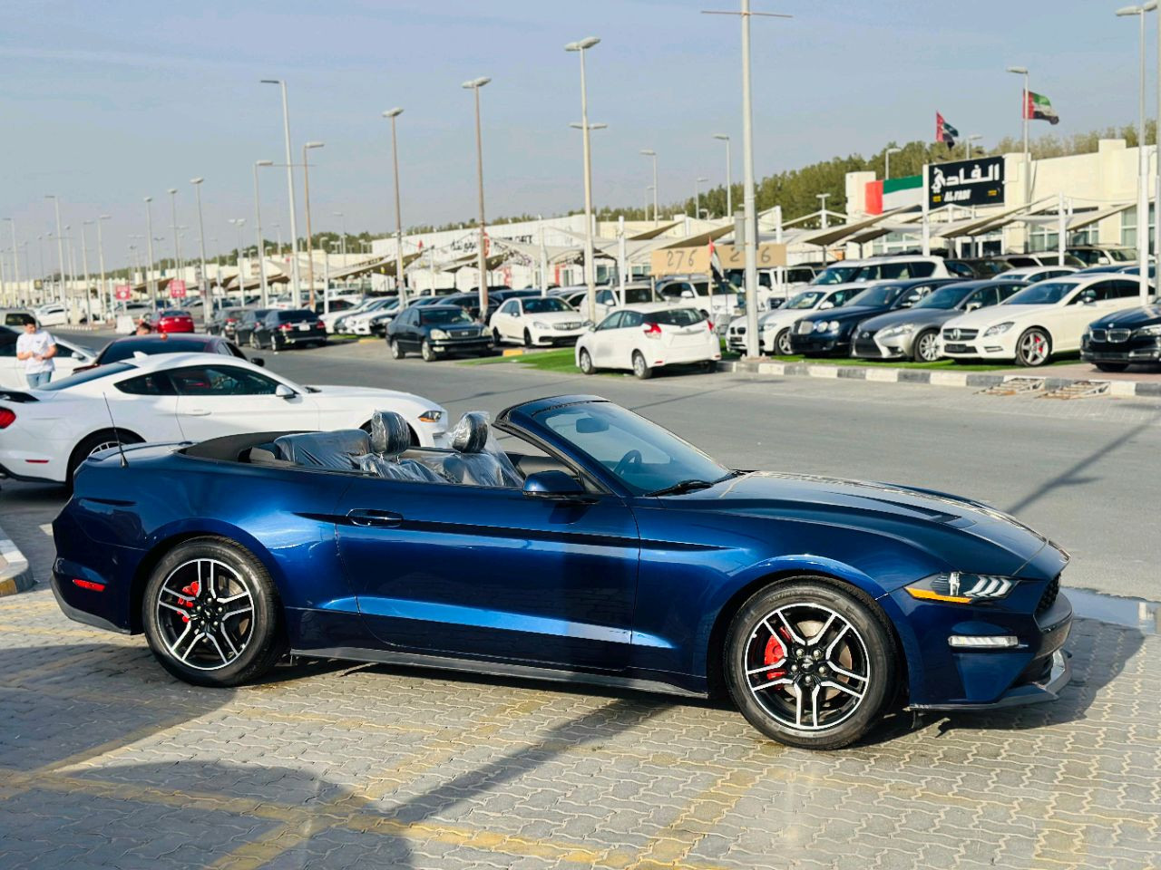 Ford Mustang - Image 5