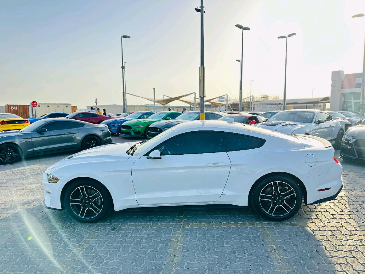 Ford Mustang - Image 10