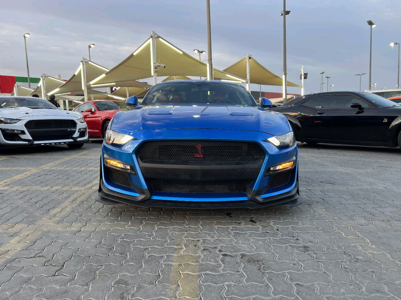 Ford Mustang - Image 3