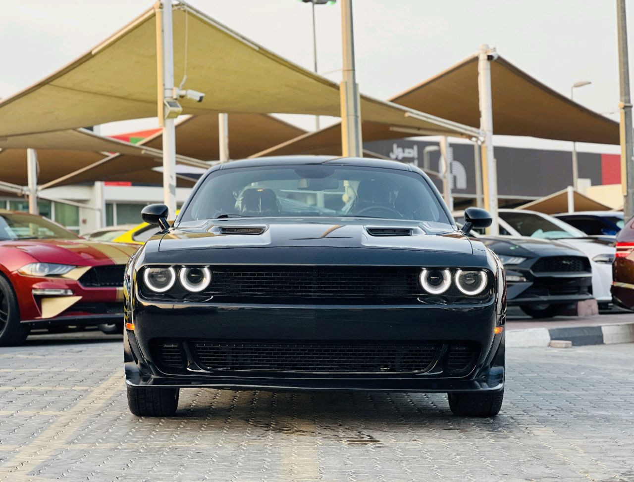 Dodge Challenger - Image 4