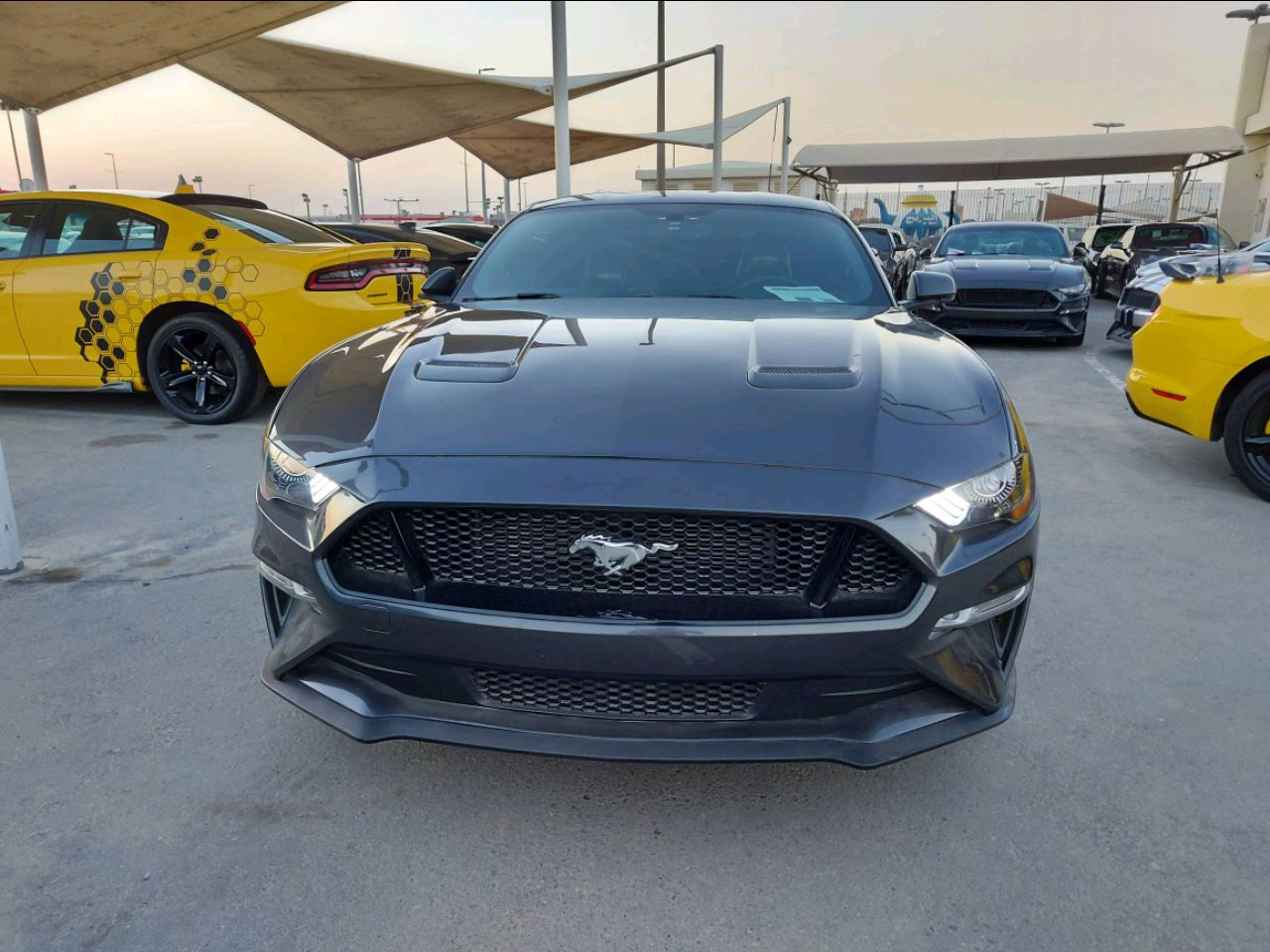 Ford Mustang - Image 4