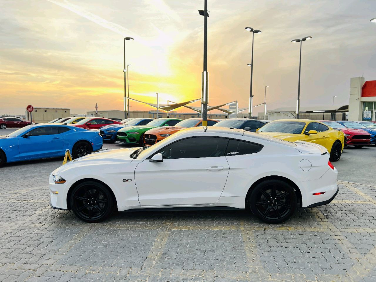 Ford Mustang - Image 6