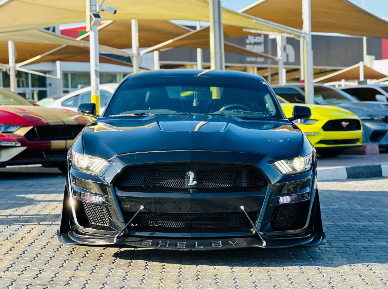 Ford Mustang - Image 3
