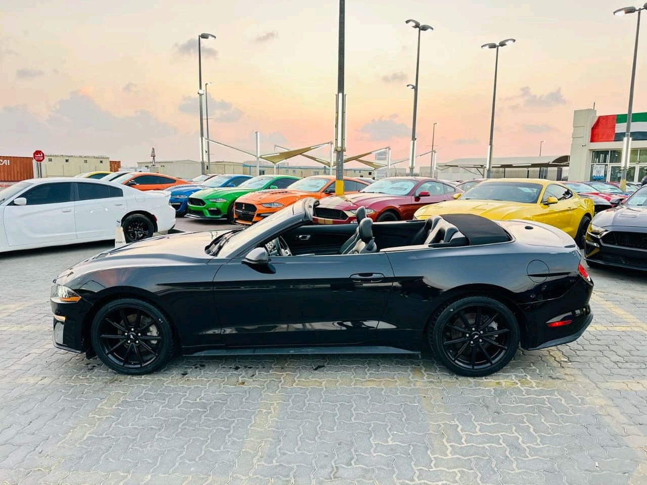 Ford Mustang - Image 6