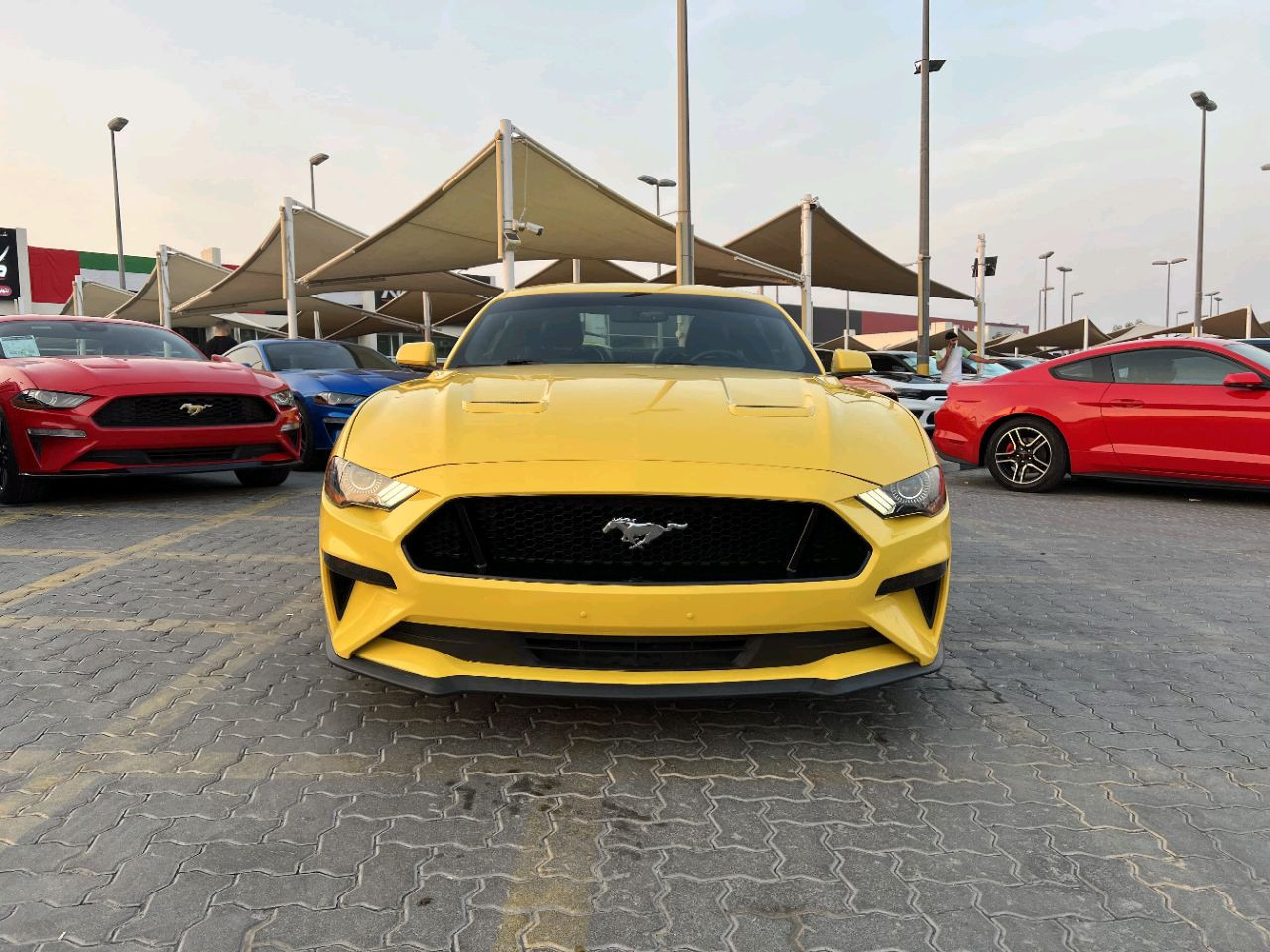 Ford Mustang - Image 3