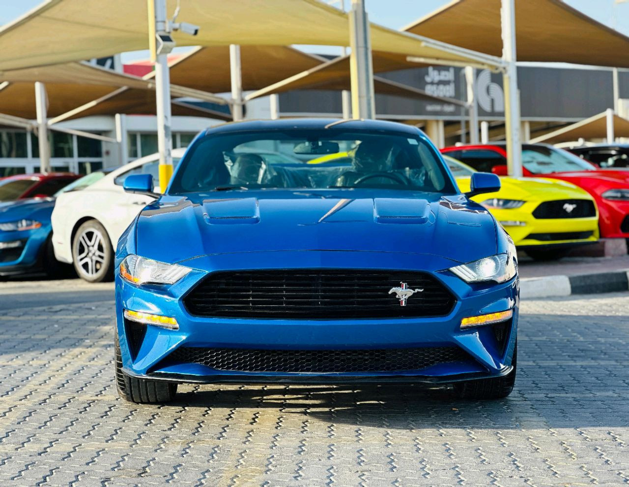 Ford Mustang - Image 3