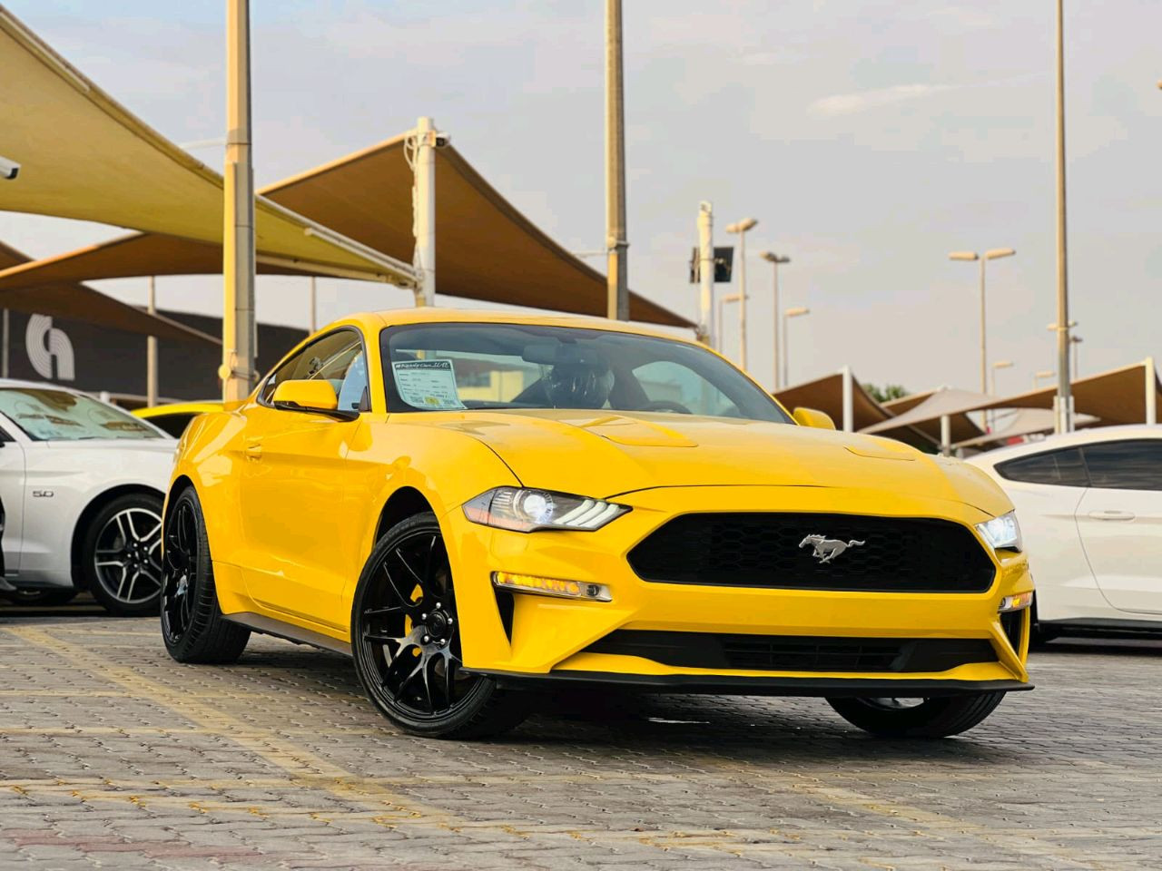 Ford Mustang - Image 4