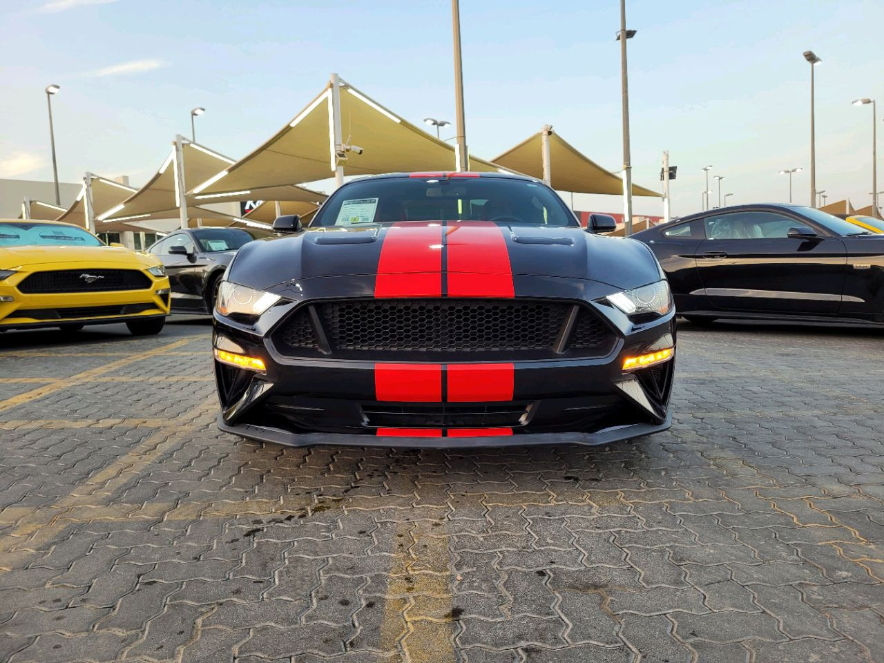 Ford Mustang - Image 3
