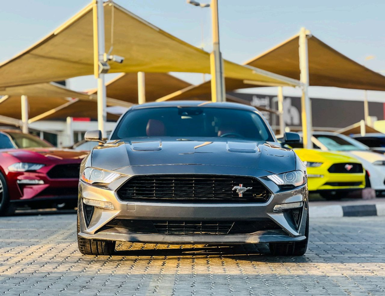 Ford Mustang - Image 4