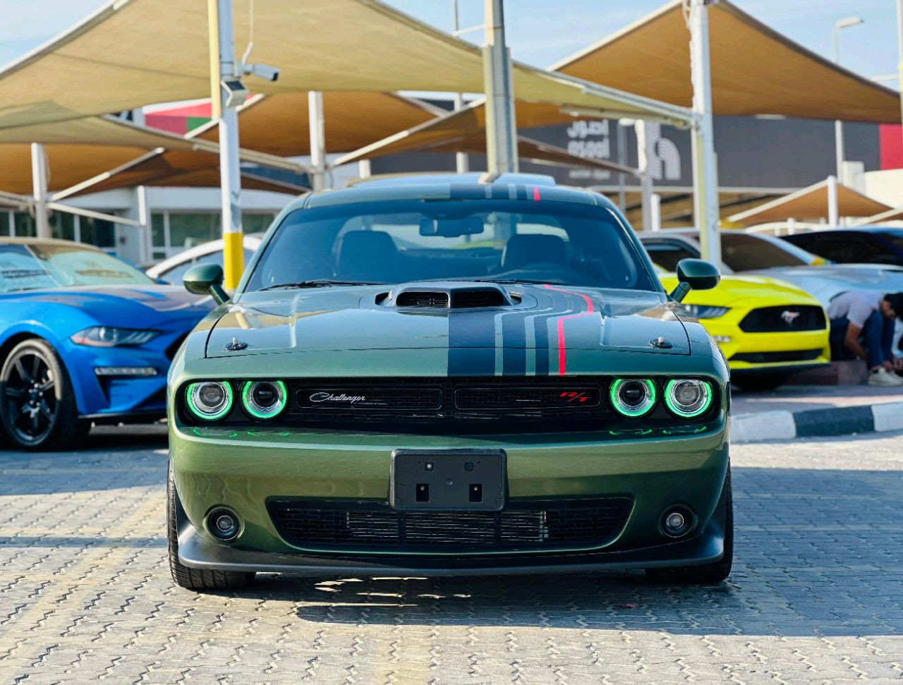 Dodge Challenger - Image 12