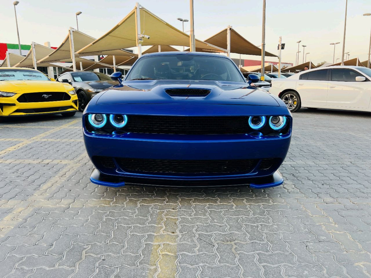 Dodge Challenger - Image 3