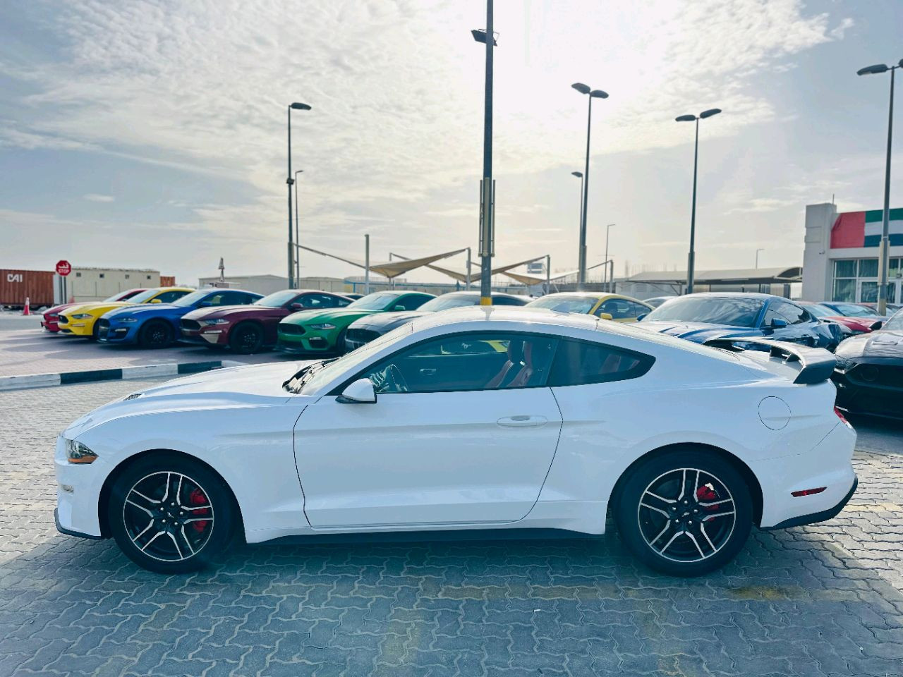 Ford Mustang - Image 6