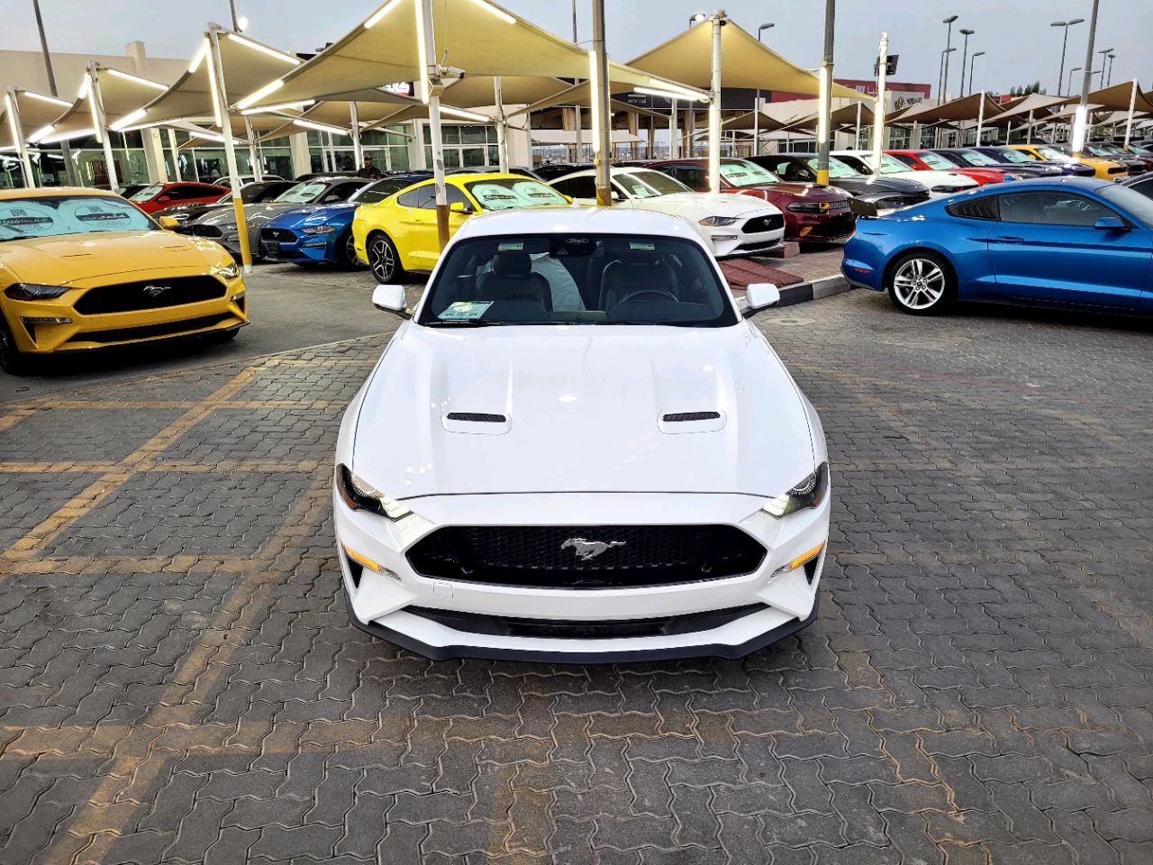 Ford Mustang - Image 4