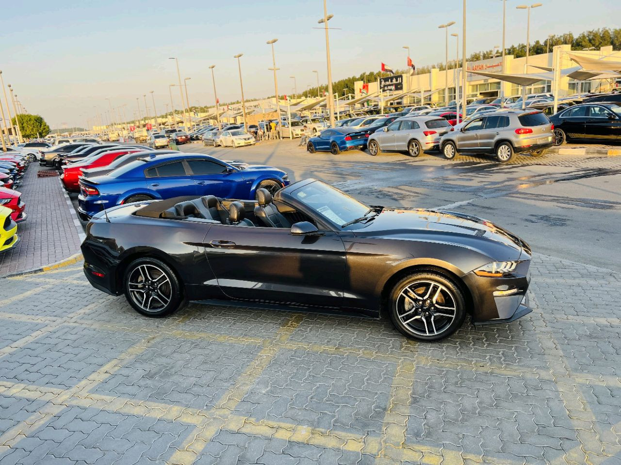 Ford Mustang - Image 5