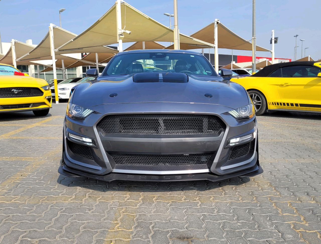 Ford Mustang - Image 3