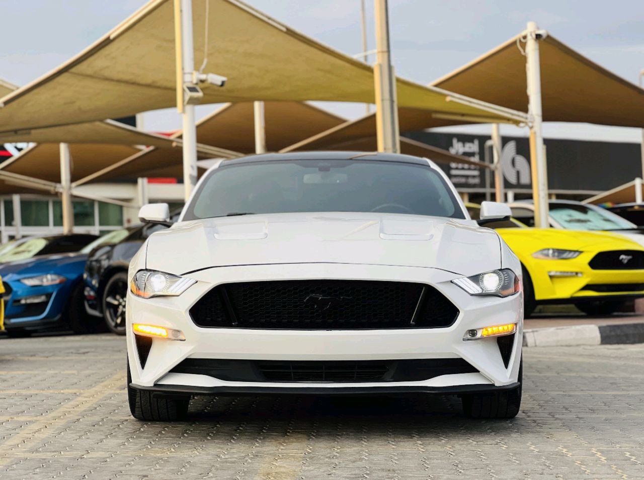 Ford Mustang - Image 3