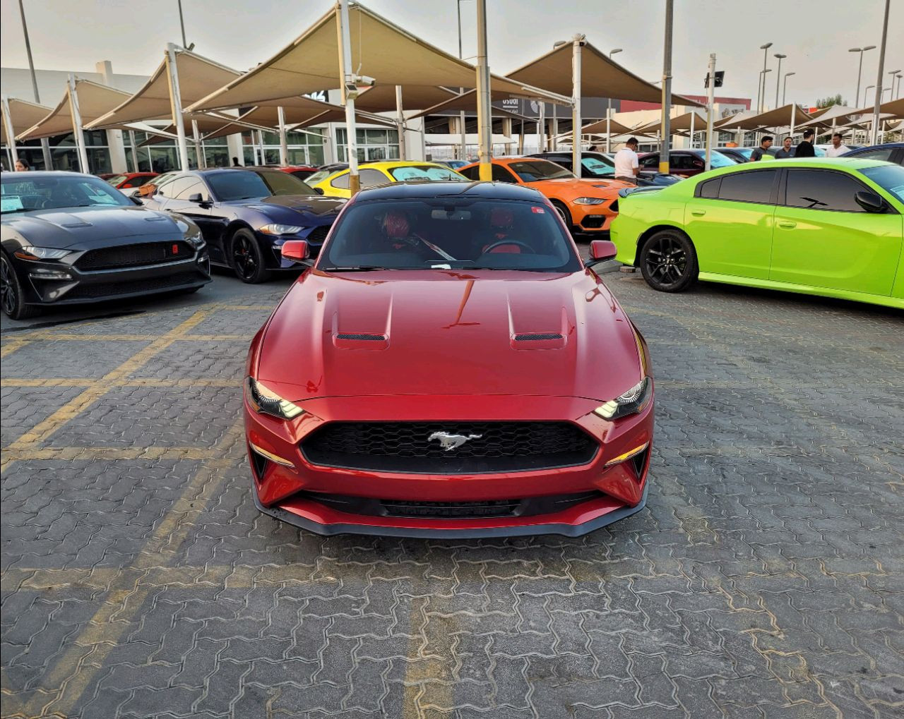 Ford Mustang - Image 4