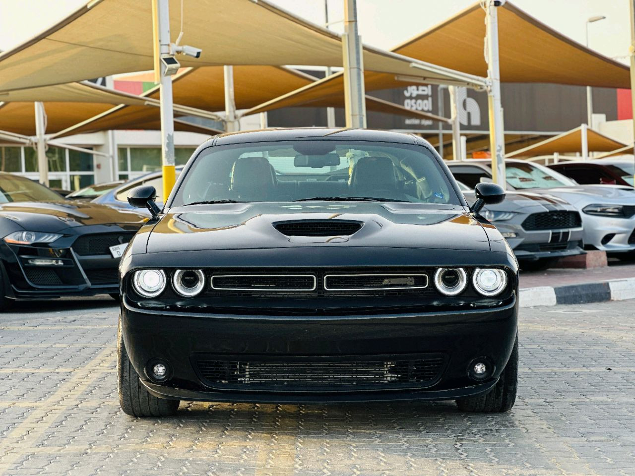Dodge Challenger - Image 3
