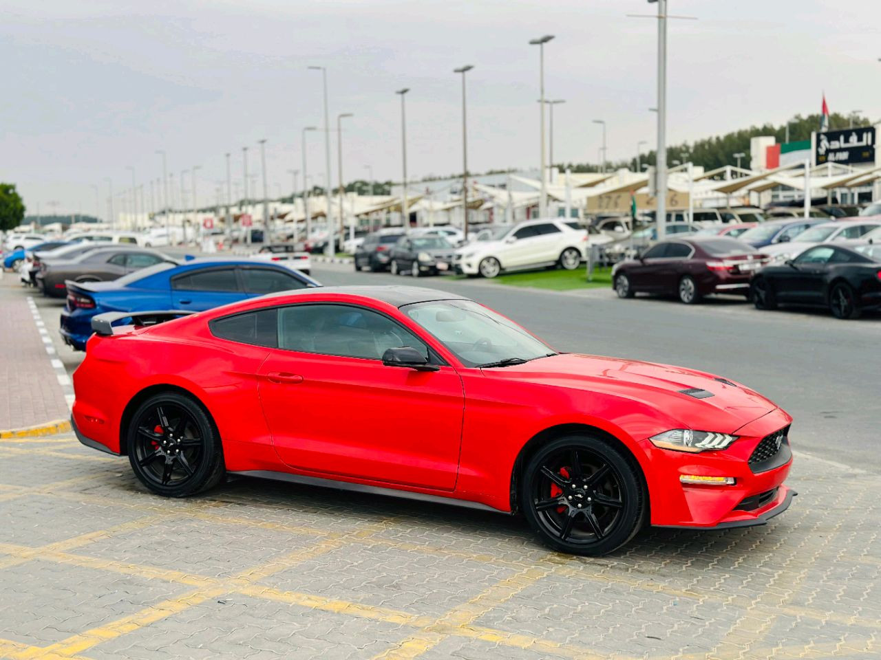 Ford Mustang - Image 5