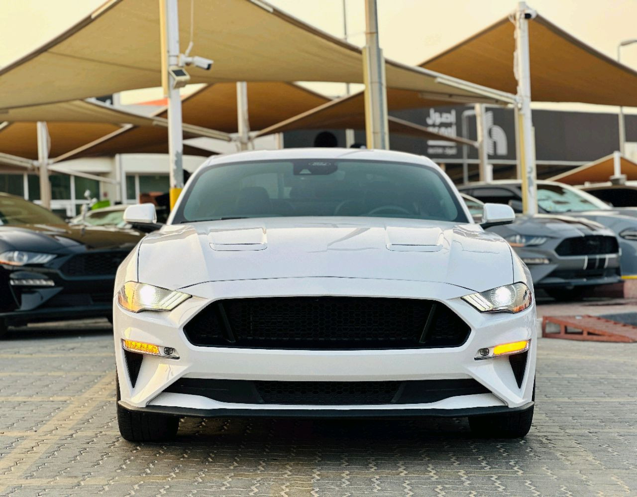 Ford Mustang - Image 3