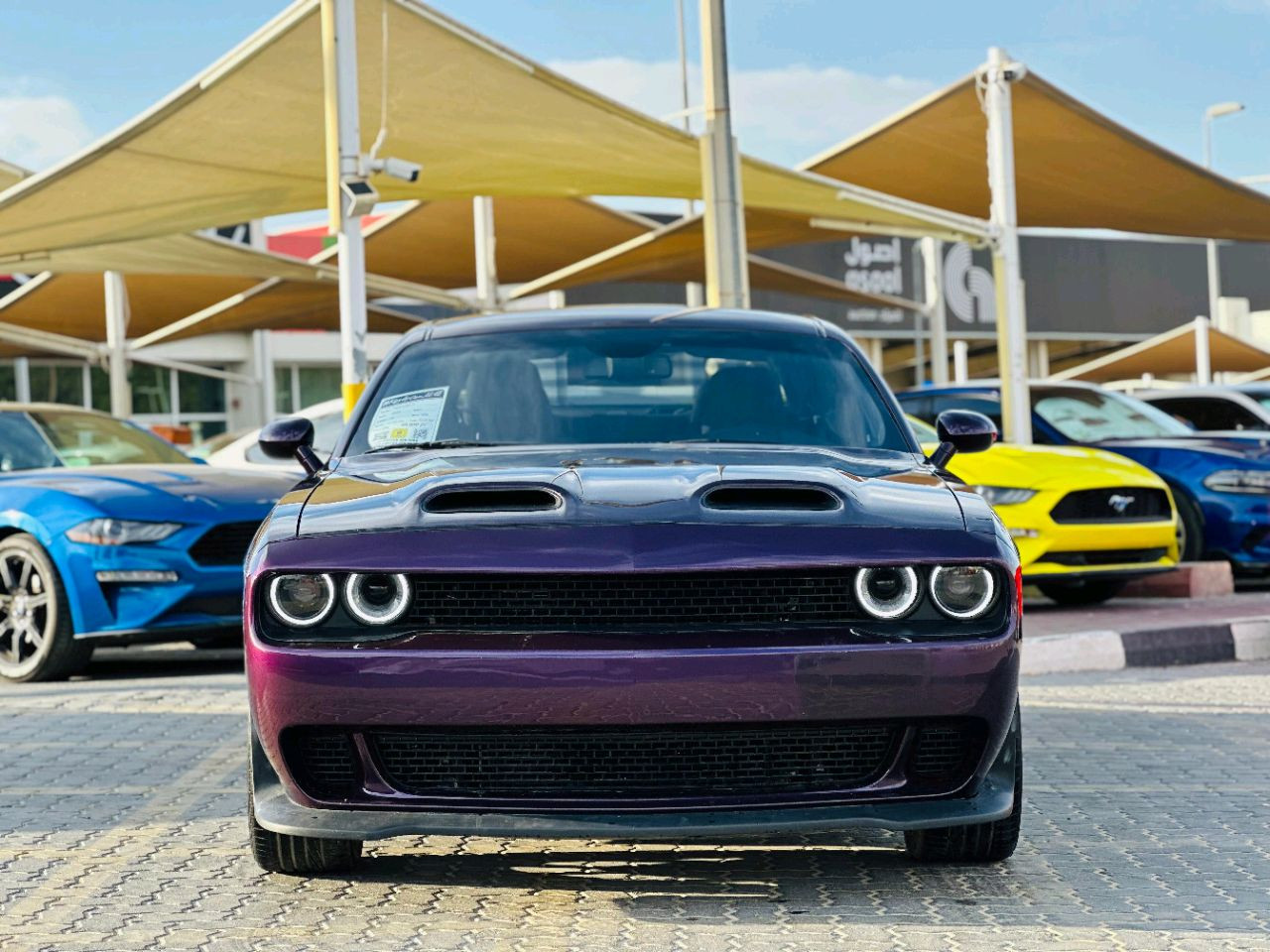 Dodge Challenger - Image 3