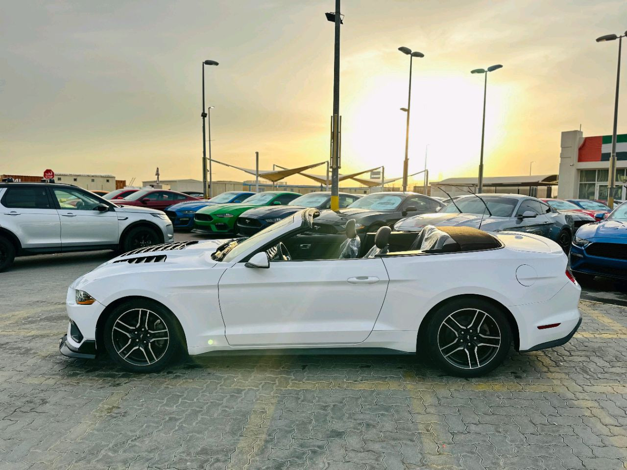 Ford Mustang - Image 6