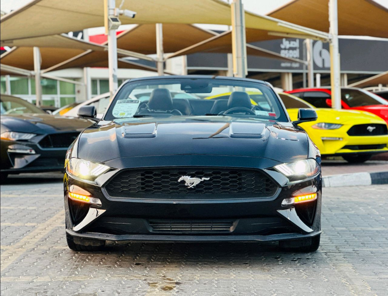 Ford Mustang - Image 3