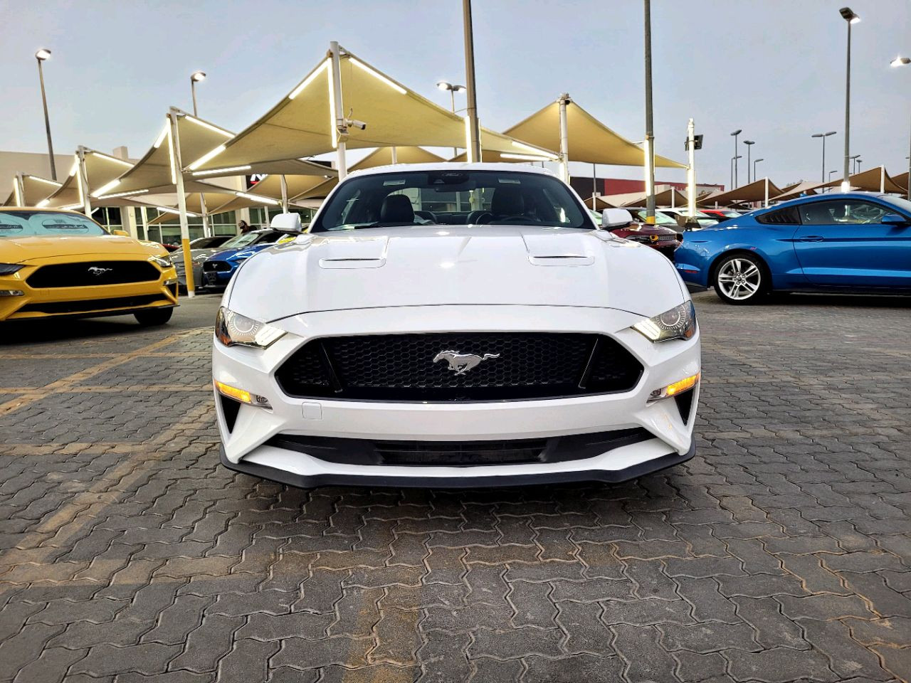 Ford Mustang - Image 3