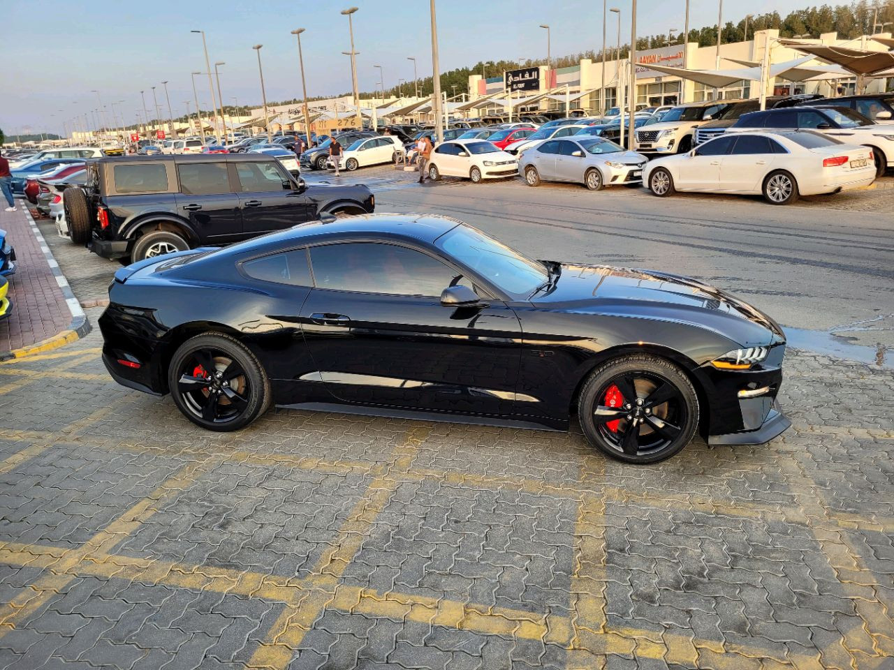 Ford Mustang - Image 8