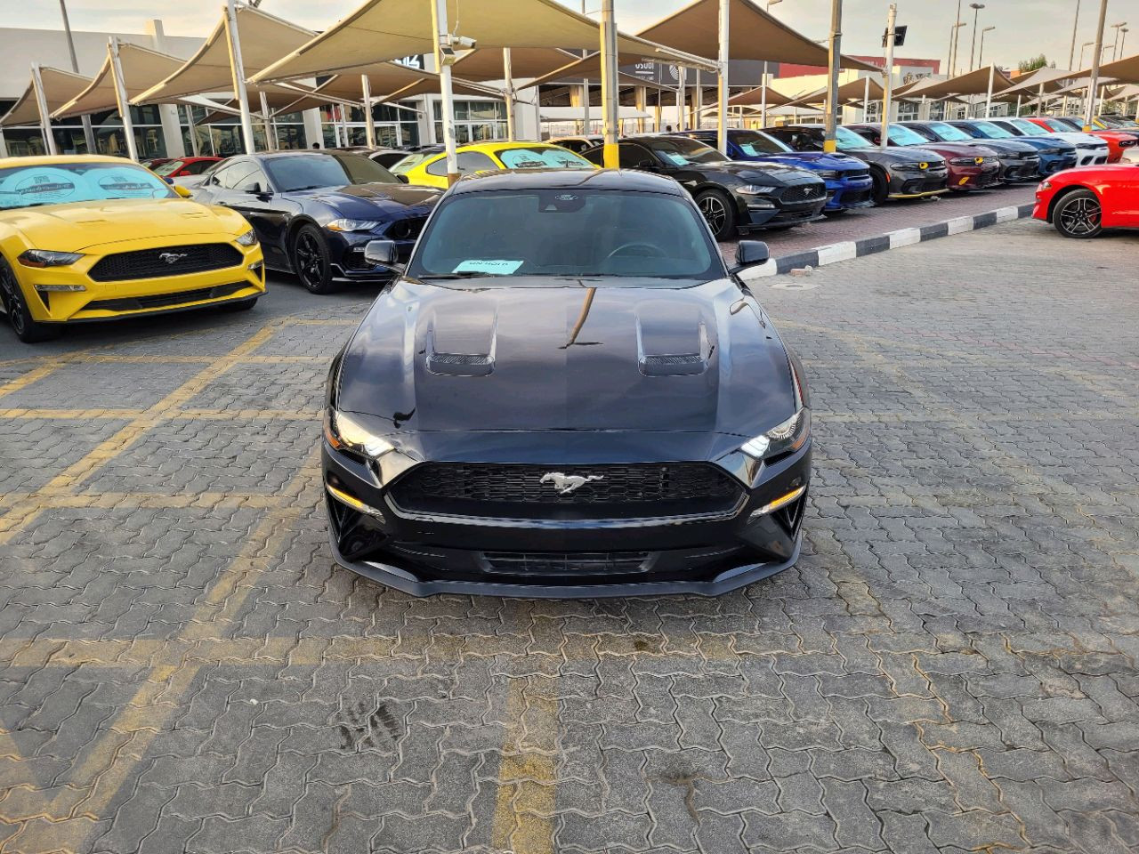Ford Mustang - Image 3