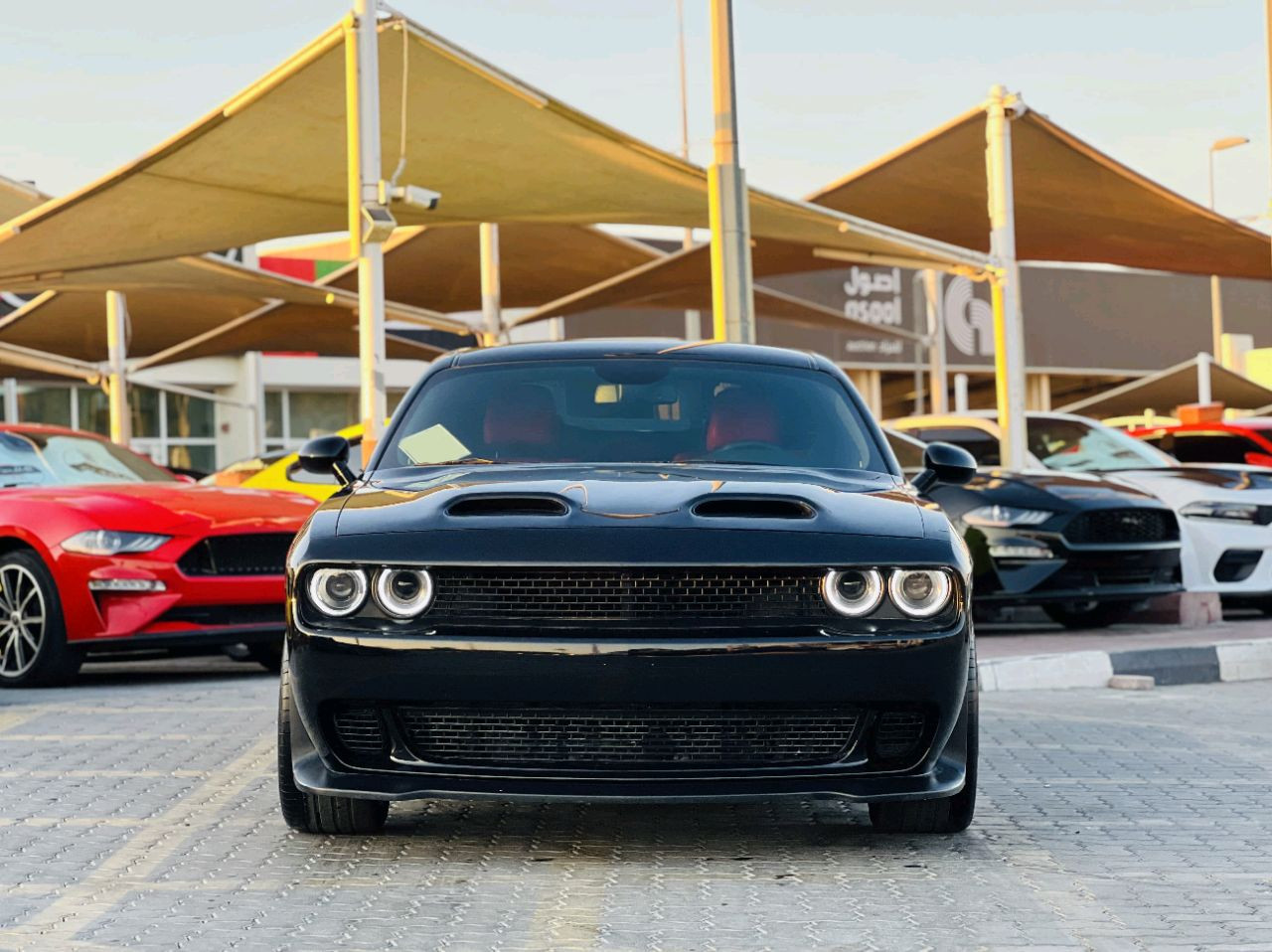 Dodge Challenger - Image 4