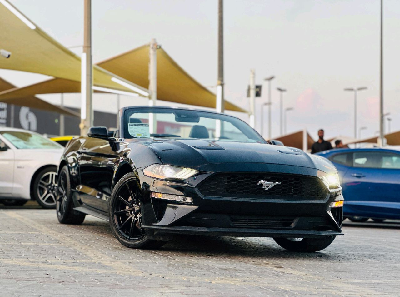 Ford Mustang - Image 4