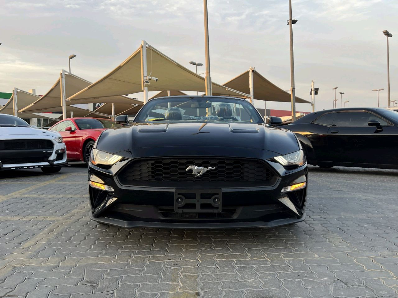 Ford Mustang - Image 5