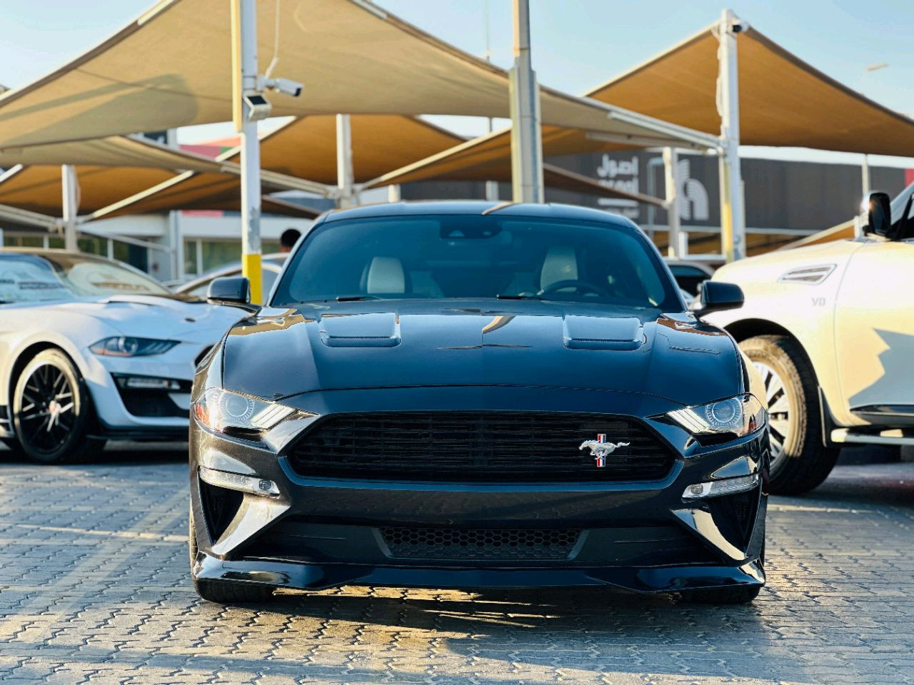 Ford Mustang - Image 3